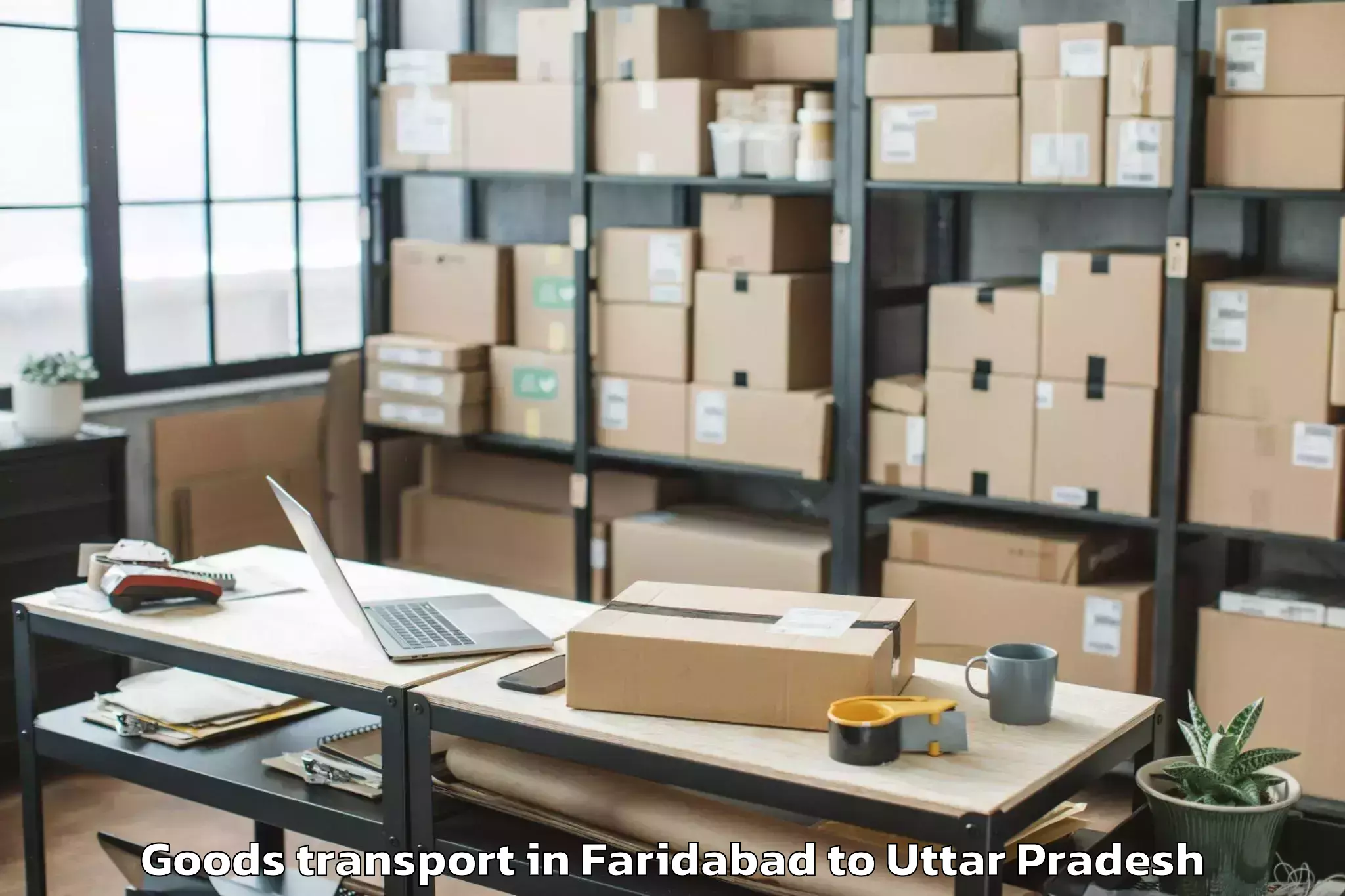 Professional Faridabad to Hamirpur Uttar Pradesh Goods Transport